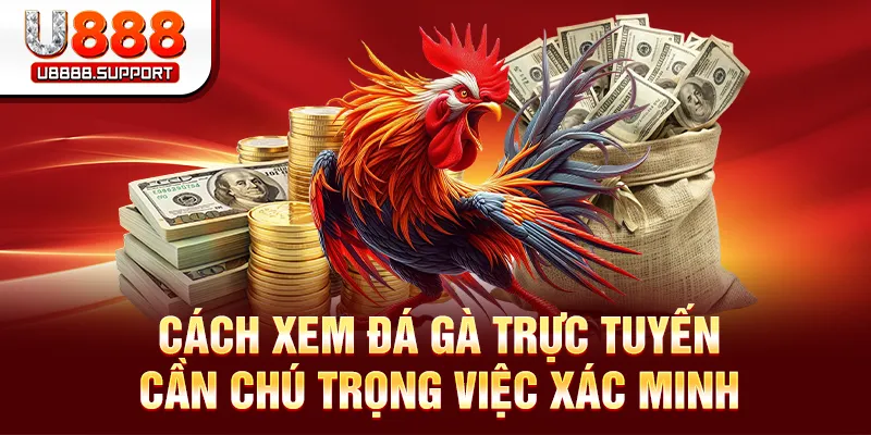 Cách Xem Đá Gà Trực Tuyến